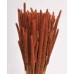 RATTAIL MILLET Burnt Oak 24"- OUT OF STOCK